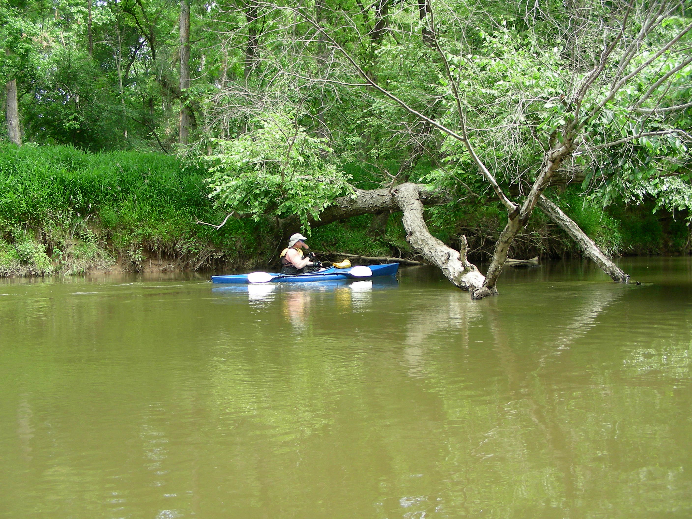 ./2012/Neuse River/DSCN8634.JPG